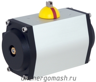 Rotork GT